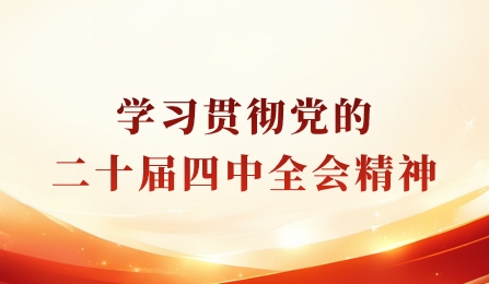 进建贯彻党的二十届四中全会心灵